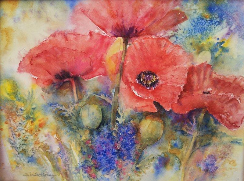 2012 Red Poppies Watercolour